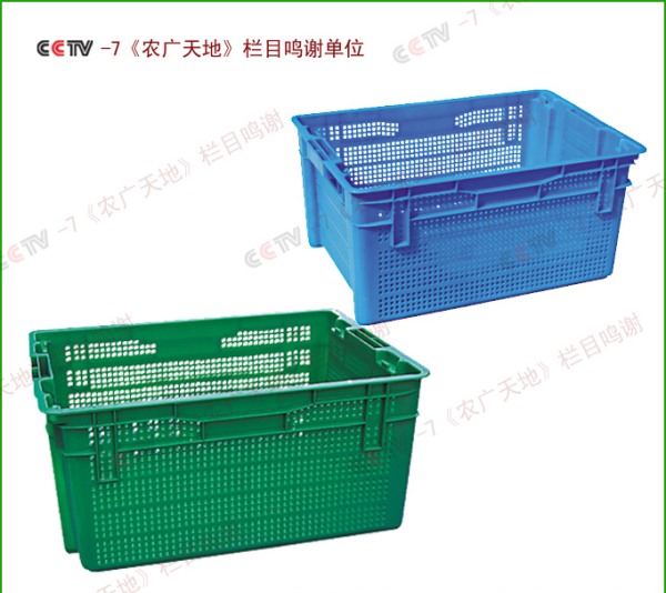 豆芽周轉箱